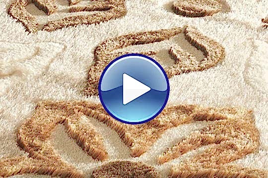 Aydoğdu Halı Yıkama Fabrikası